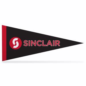 Image of SINCLAIR MINI PENNANT 4X9